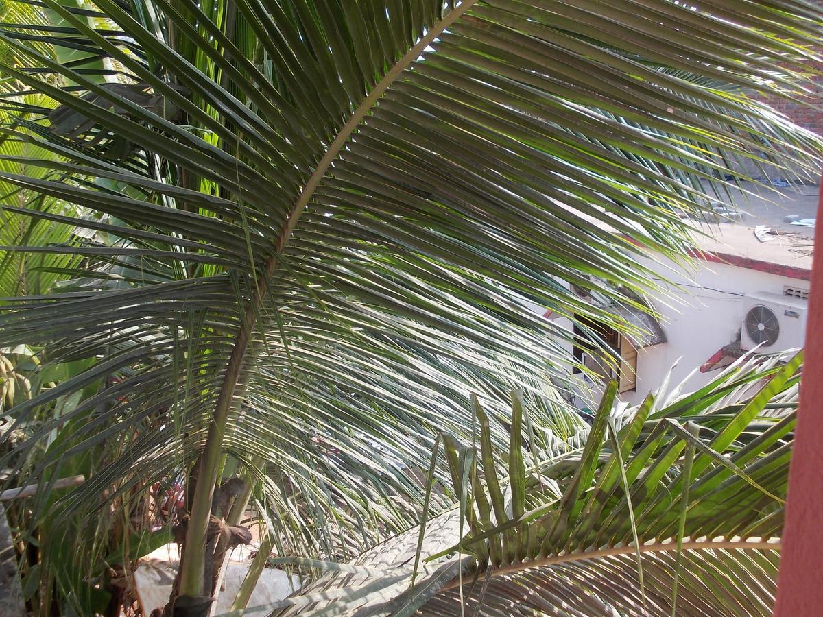 Hotel Sun Plaza-Near Konark Sun Temple- Couple Friendly-Best Choice Of Travellers Bagian luar foto